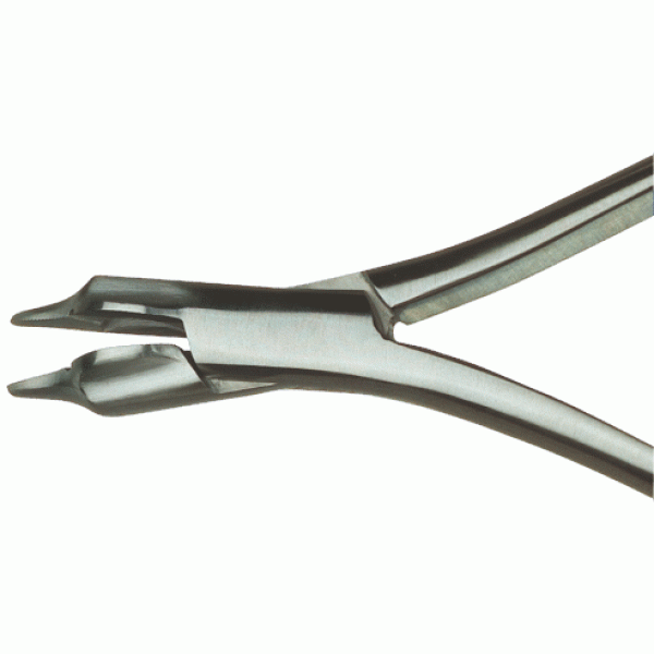 Cleste Crampon