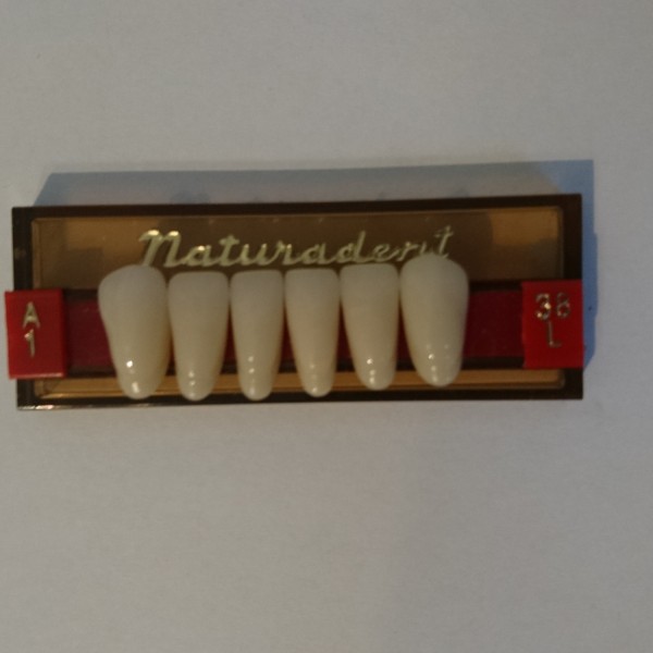 Natura Dent 38L