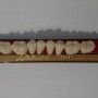 Natura Dent 97I